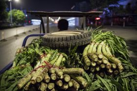 【致敬零点劳动者】系列报道：熊奉根的30余年卖菜路