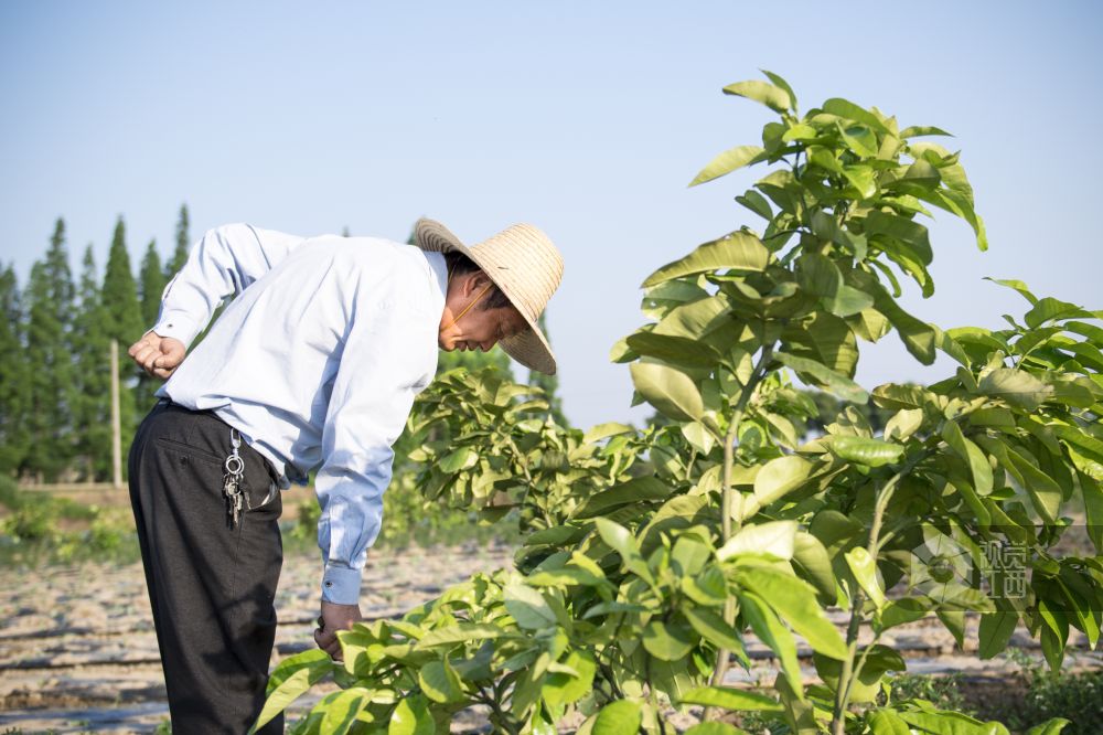 【致敬零点劳动者】系列报道：熊奉根的30余年卖菜路