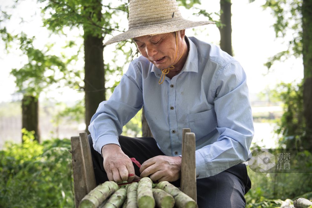 【致敬零点劳动者】系列报道：熊奉根的30余年卖菜路