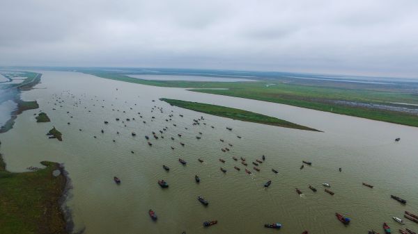 百舸入鄱 千帆竞发  聚焦鄱阳湖开湖盛景