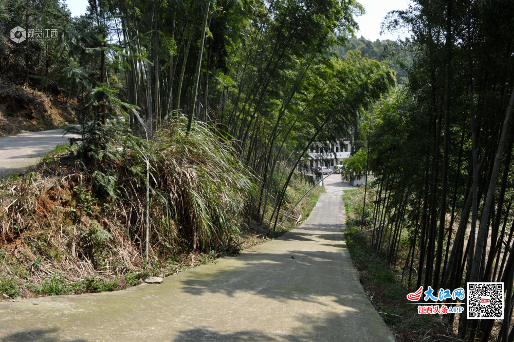 “拄拐教师”坚守山区42载 为山区孩子点亮求学梦想