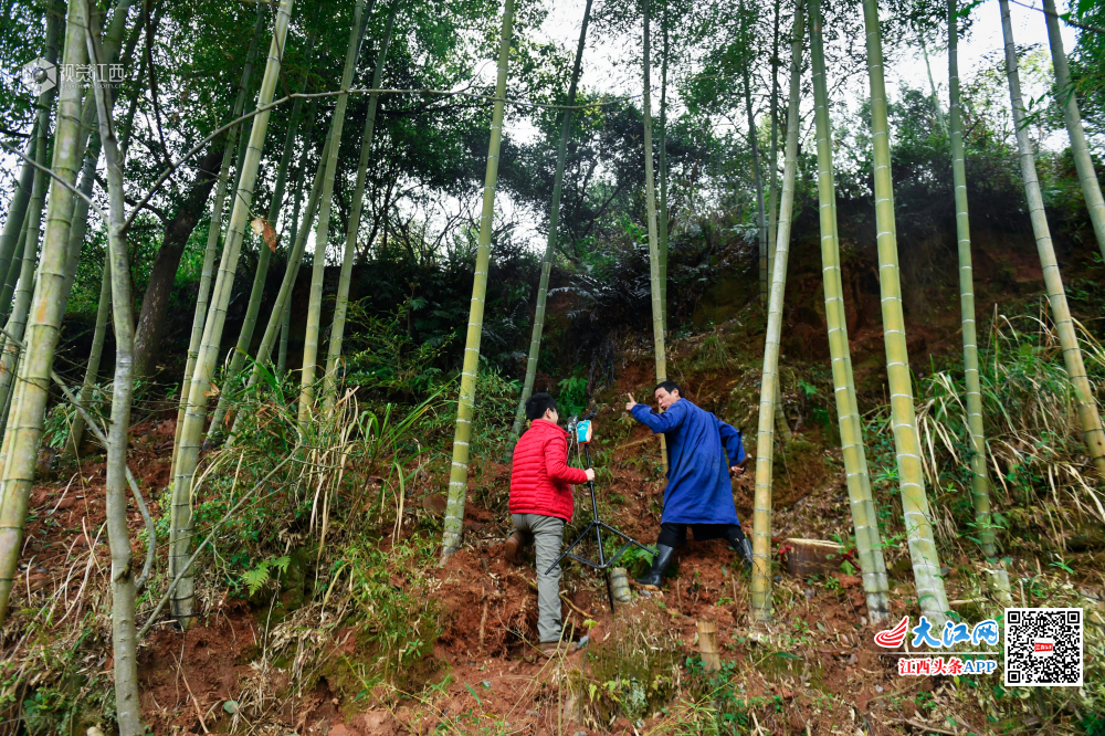 【脱贫攻坚在行动】大山里的“网红” 直播卖山货年销30万