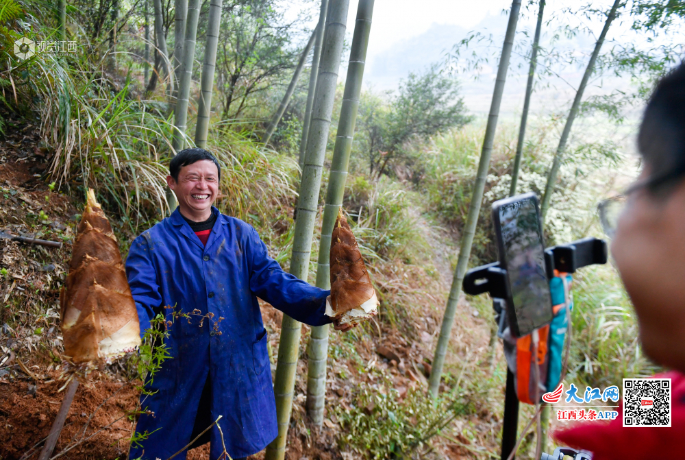 【脱贫攻坚在行动】大山里的“网红” 直播卖山货年销30万