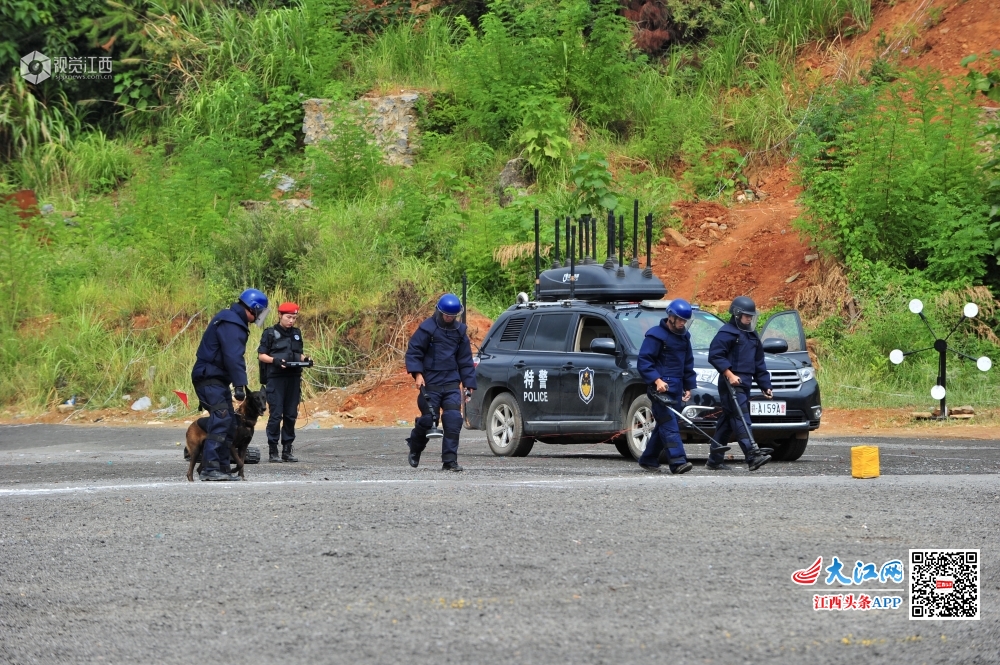 号令一出，动若风发！江西全警实战大练兵场面超燃