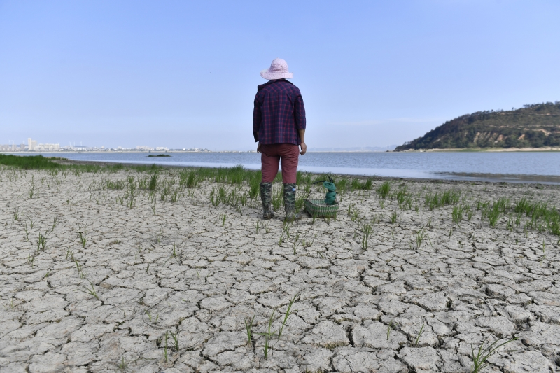 又见鄱阳“河” 渔民无鱼可打