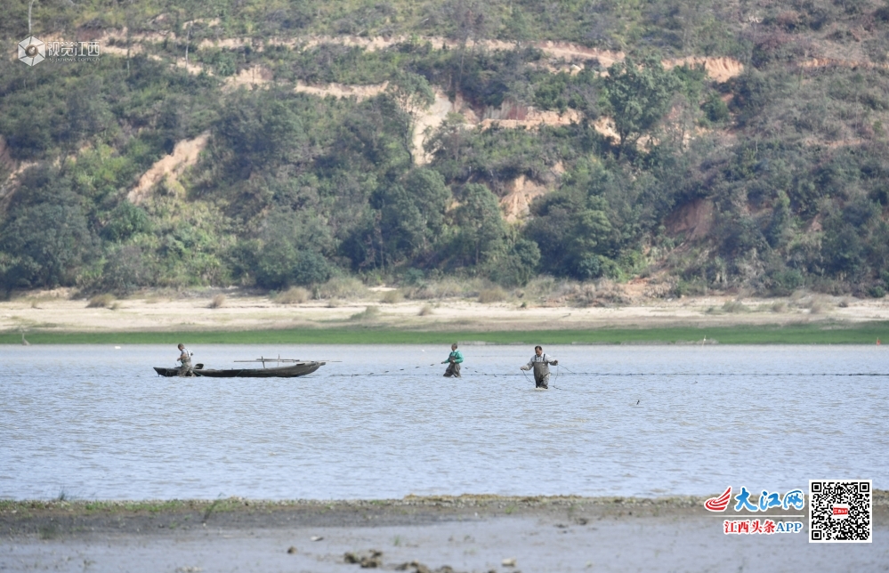 又见鄱阳“河” 渔民无鱼可打