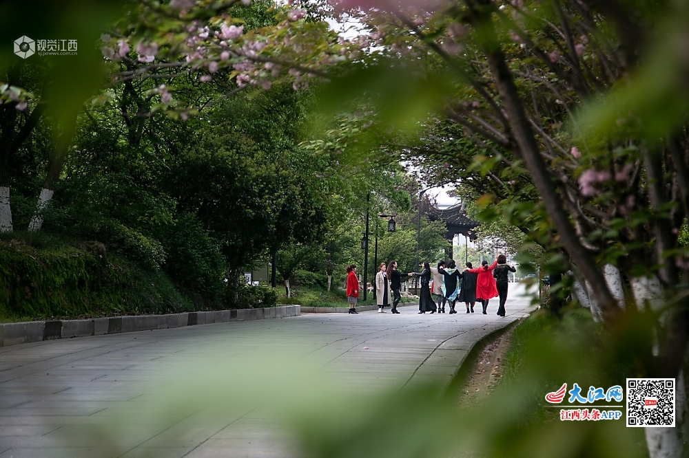 2020年4月6日，清明时节，天气回暖，八大山人梅湖景区空间宽敞，花团锦簇，鸟飞鱼跃，引无数游人踏青。图为游人在?；ㄊ飨律突?。