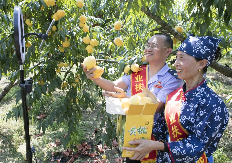 江西铜鼓：第一书记村播带货助脱贫