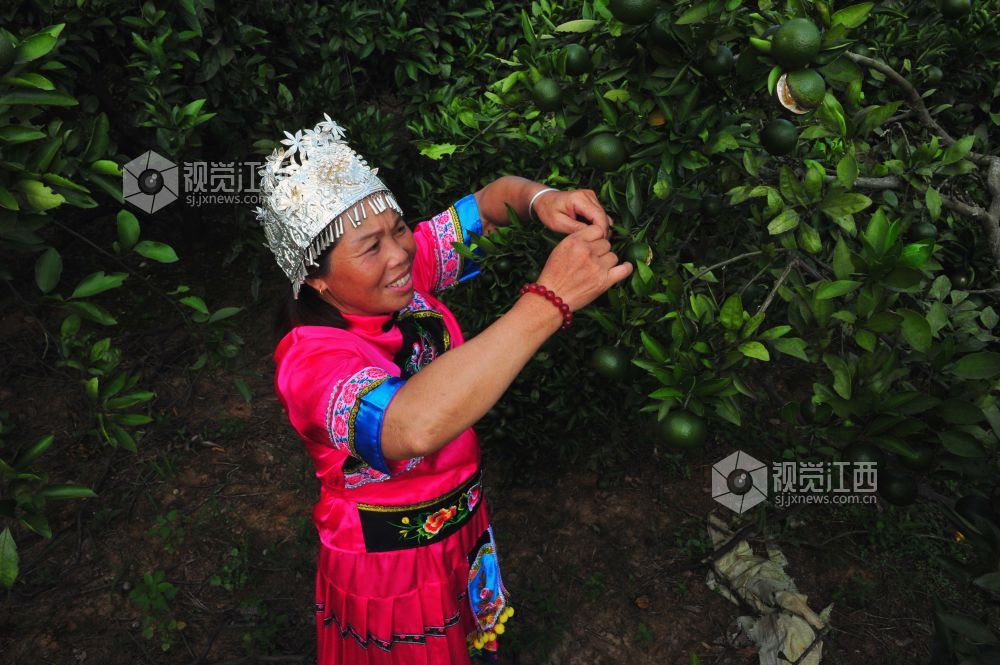 七个民族一个村 同步迈向小康路