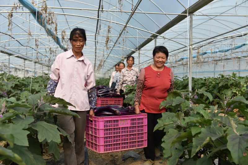 江西全南：精准扶贫让贫困户增收致富