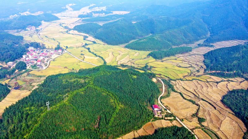 边远山村修出“致富路”