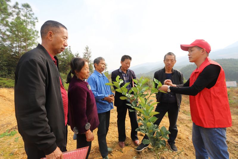 江西安福：强化产业培训  巩固脱贫成果