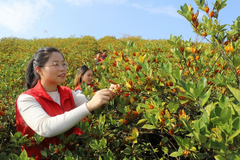 江西安福：扶贫车间来了帮工队