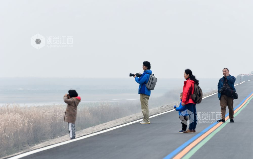 12月28日，大批珍禽候鸟在南昌县鲤鱼洲（五星农?。┌缀妆；ば∏禾林衅芟ⅰ? bigimg=