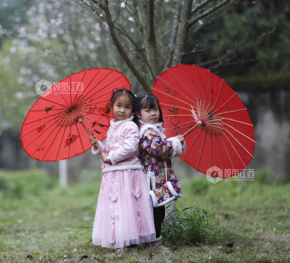 2021年3月17日，江西省分宜县洋江中心幼儿园内樱花绽放，老师们带领幼儿尽情欣赏，陶醉在?；种?。