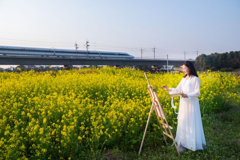 【视频】江西峡江：油菜花海“画春天”