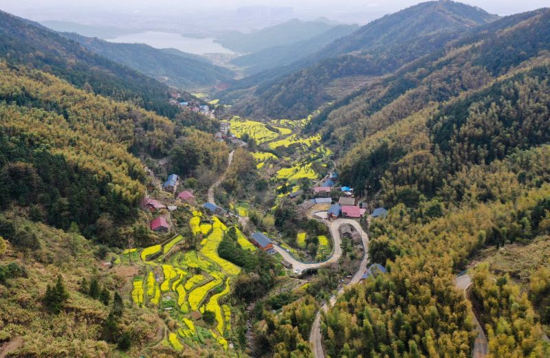 【视频】江西南昌：千亩梯田油菜花盛开