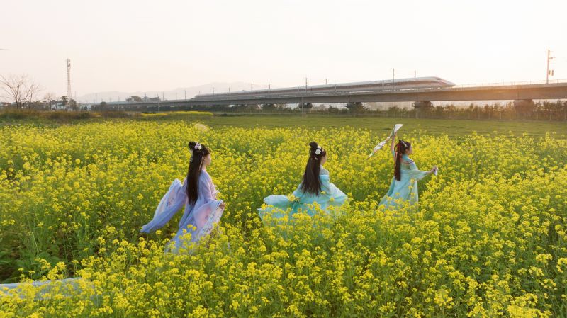 【视频】江西峡江：油菜景如画 汉服秀花海