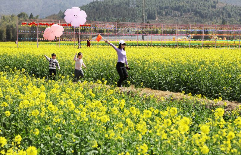 江西宜春：欢乐花海