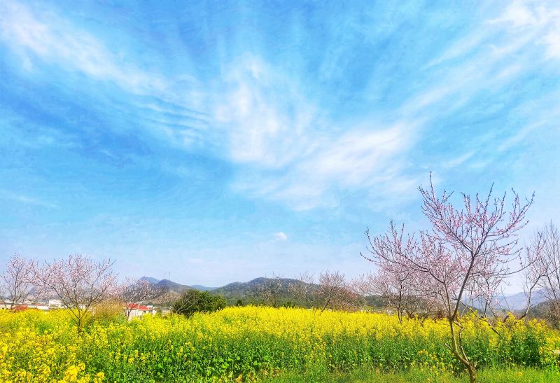 江西分宜：繁花盛开春光美