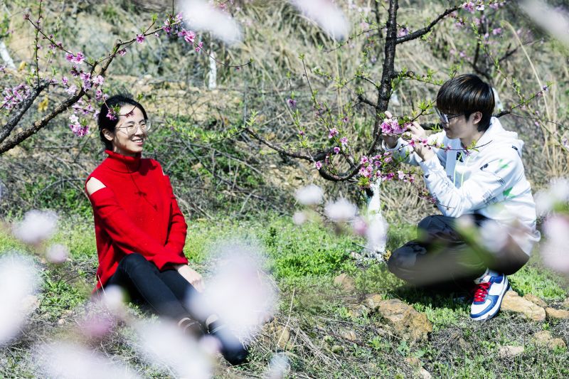 江西新余：桃花盛开醉游人