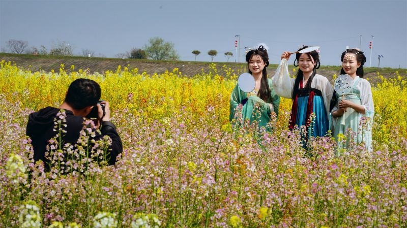 江西新余：七彩油菜花迎春开 乡村振兴踏春来