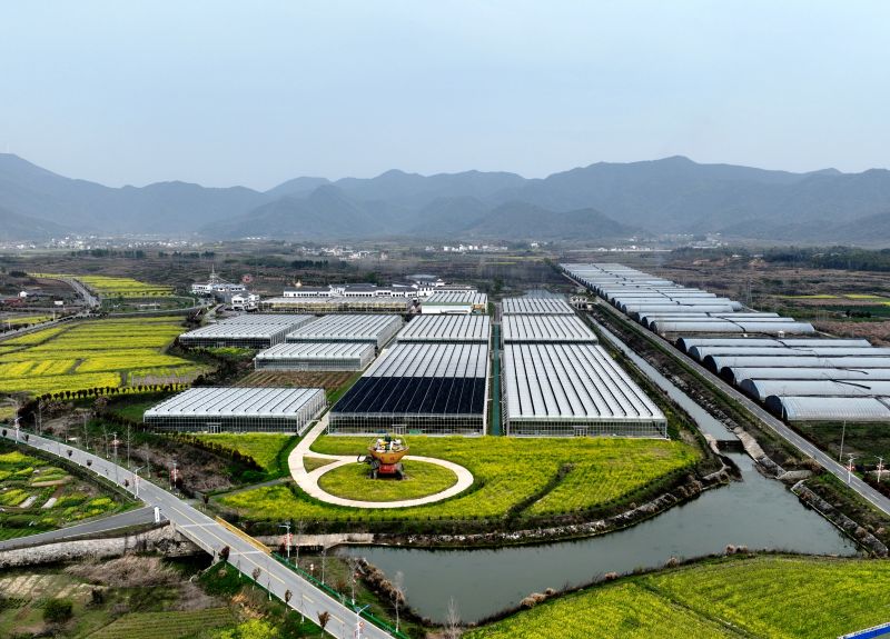 江西湖口：果蔬种植基地富民兴村