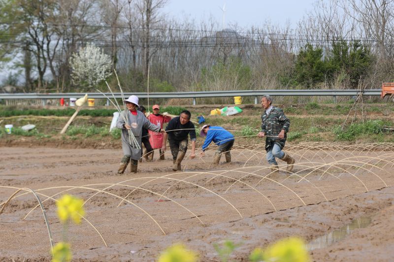 江西湖口：抢抓农时忙春耕