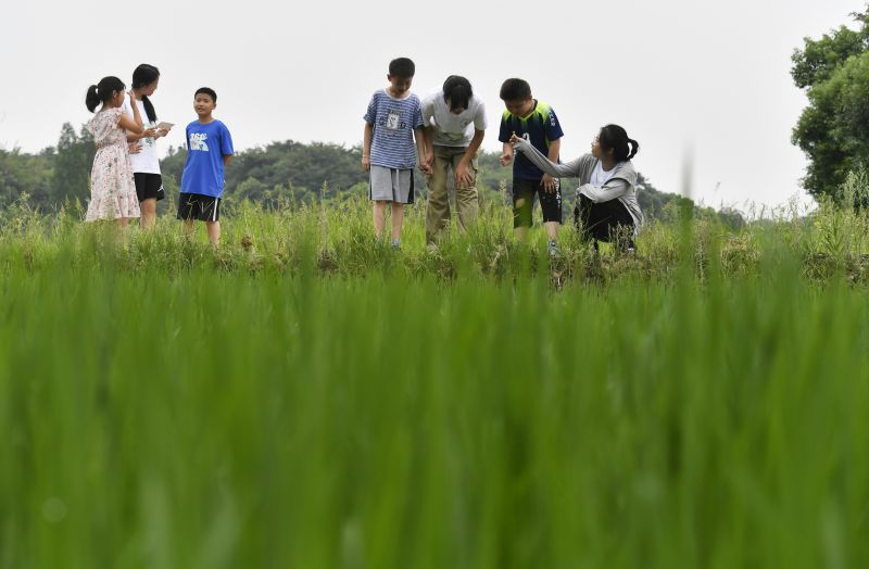 大学生支教团 为留守儿童播撒梦想的种子