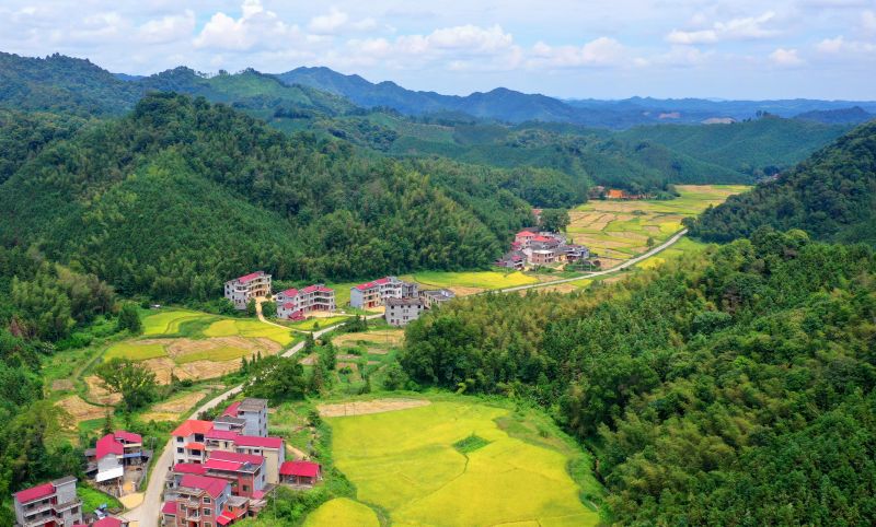 江西泰和：山乡“丰”景如画