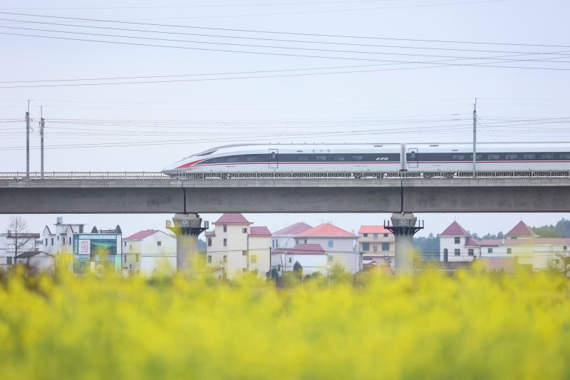 【视频】江西丰城：高铁穿越油菜花田