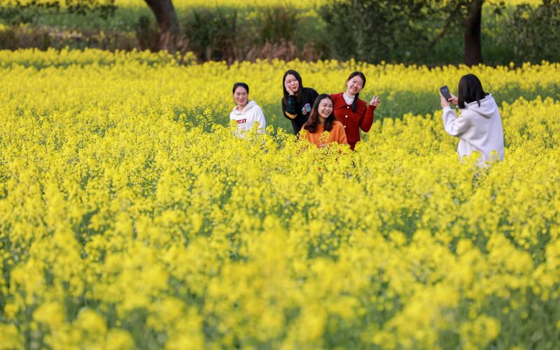 【视频】江西万安：油菜花开迎客来