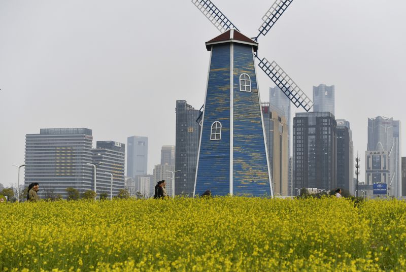 江西南昌：城市油菜花海绽放