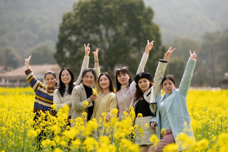 江西吉安：油菜花开醉游人