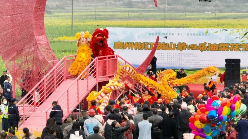 【视频】江西宜春：油菜花开扮靓乡村