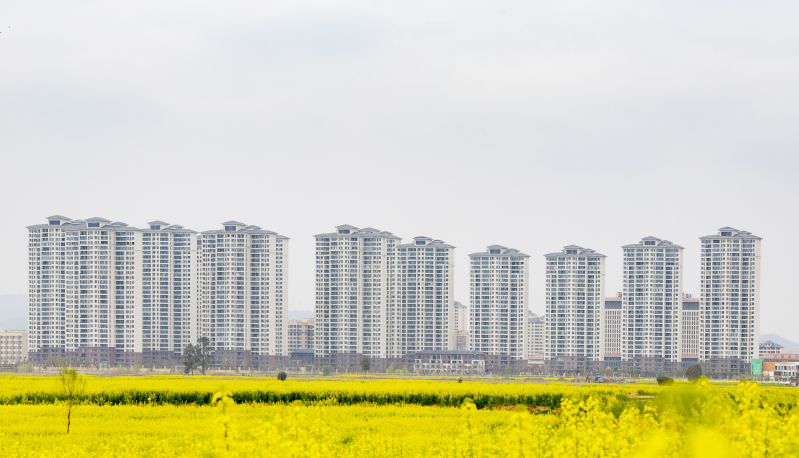 江西瑞昌：油菜花开绘春景