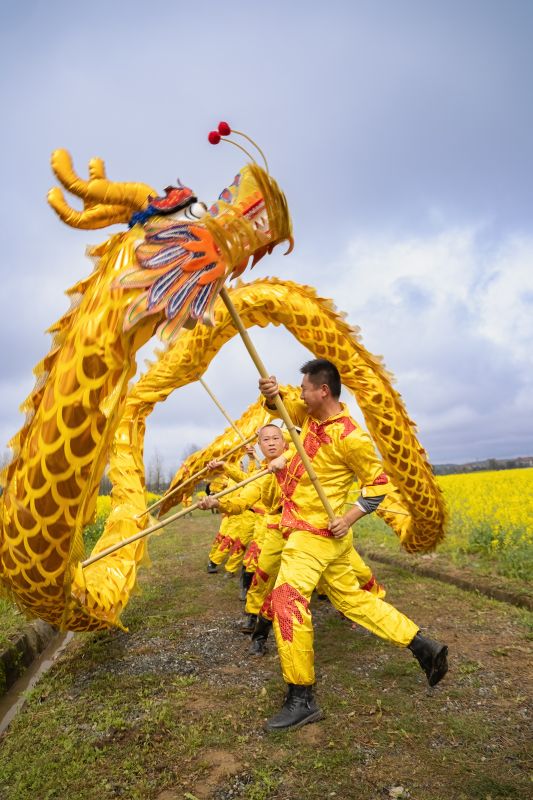 江西吉安：油菜花开引客来