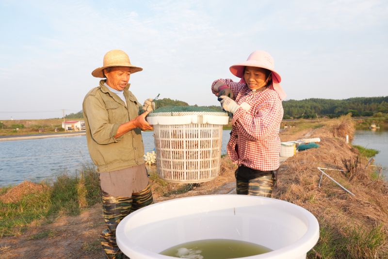 江西永丰：特色养殖助农增收