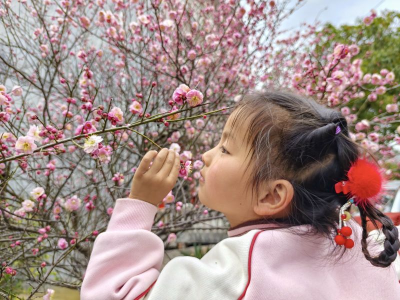 江西遂川：梅花初开迎新春