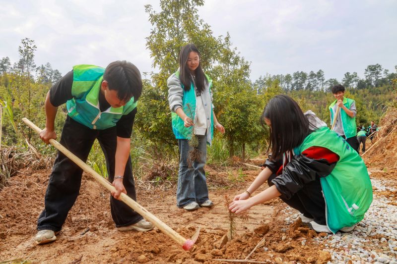 江西吉水：植树添新绿