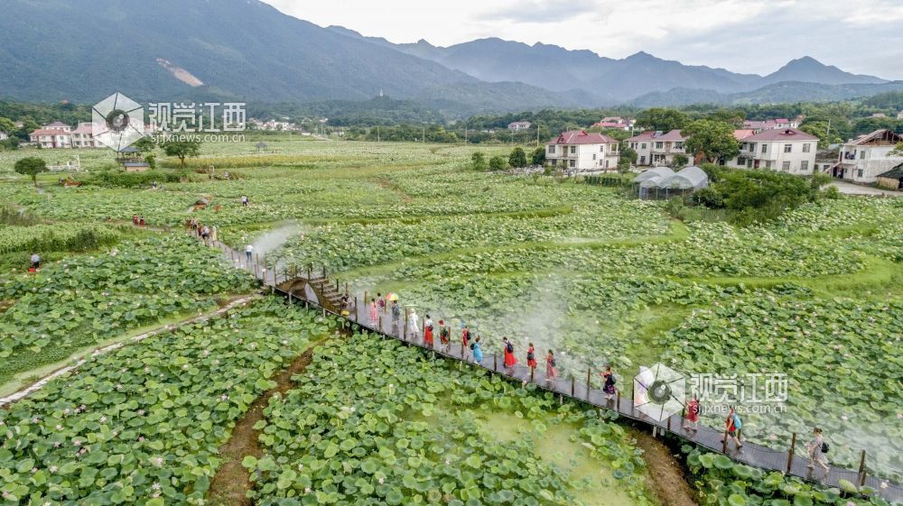 7月9日，游客在江西省庐山市?；嵴蚺砩酱搴苫ㄖ种不毓凵秃苫?。