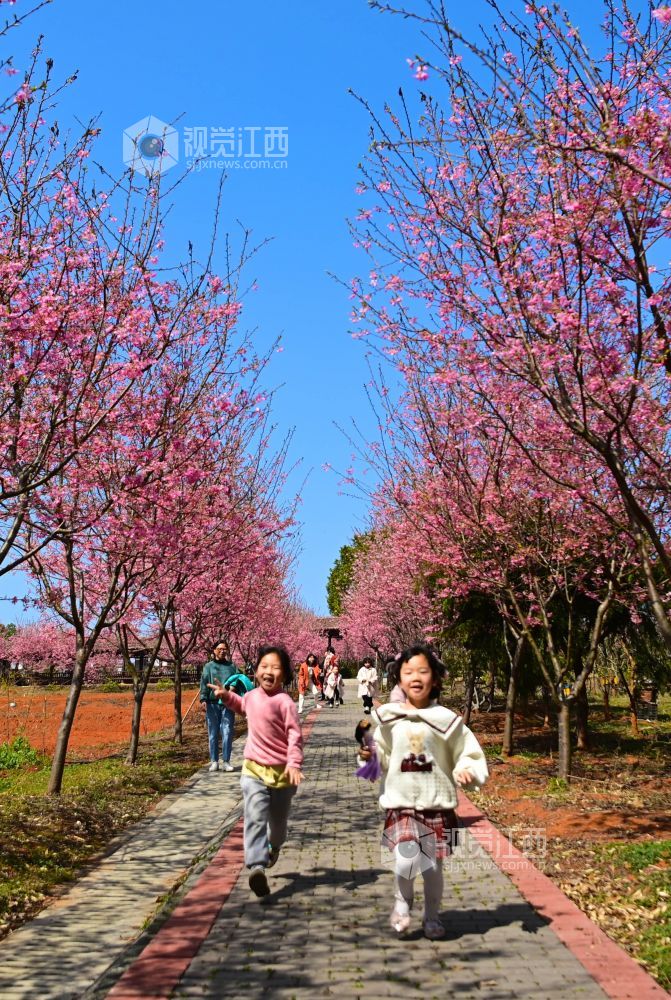 2023年3月5日，小朋友在江西省宜春市星火农林科技园区?；ɡ壬突ㄓ瓮?。